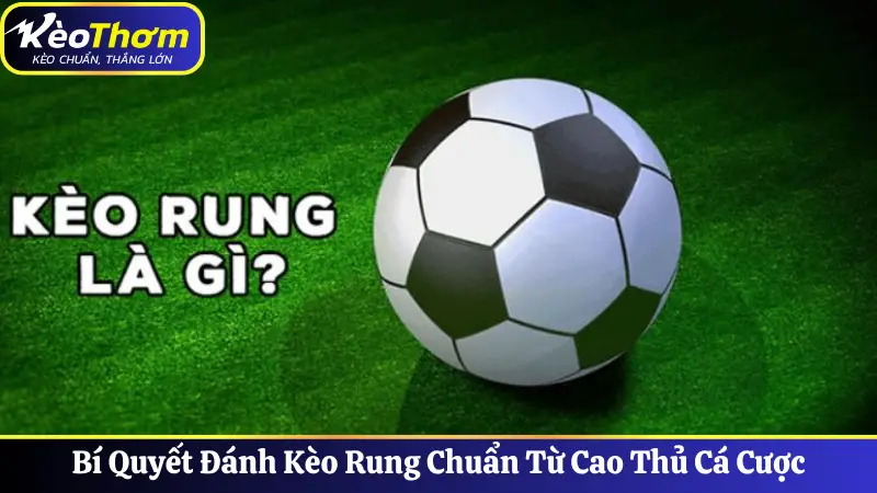 Bí Quyết Đánh Kèo Rung Chuẩn Từ Cao Thủ Cá Cược