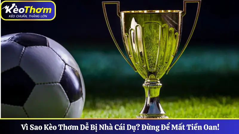 Vì Sao Kèo Thơm Dễ Bị Nhà Cái Dụ? Đừng Để Mất Tiền Oan!