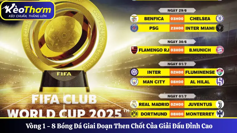 Vòng 1 - 8 Bóng Đá Giai Đoạn Then Chốt Của Giải Đấu Đỉnh Cao