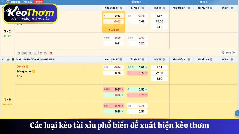 Các loại kèo tài xỉu phổ biến dễ xuất hiện kèo thơm