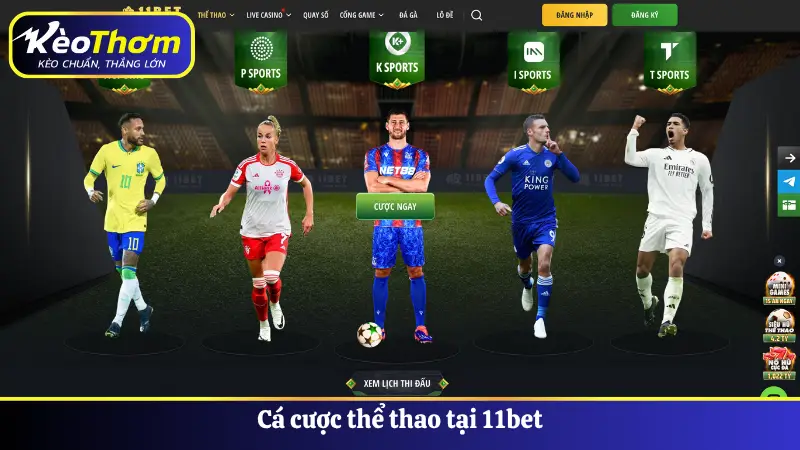 Cá cược thể thao tại 11bet