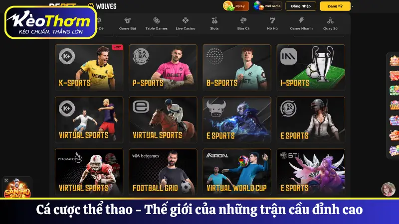 Cá cược thể thao - Thế giới của những trận cầu đỉnh cao