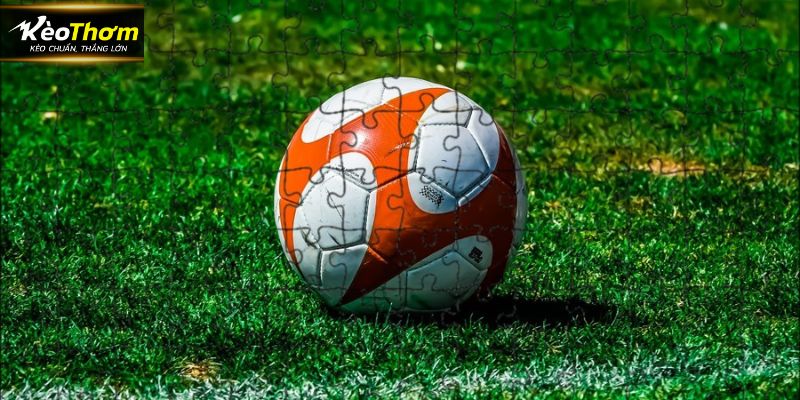 Các giải đấu từ quốc tế đến trong nước, giúp fan dễ dàng theo dõi