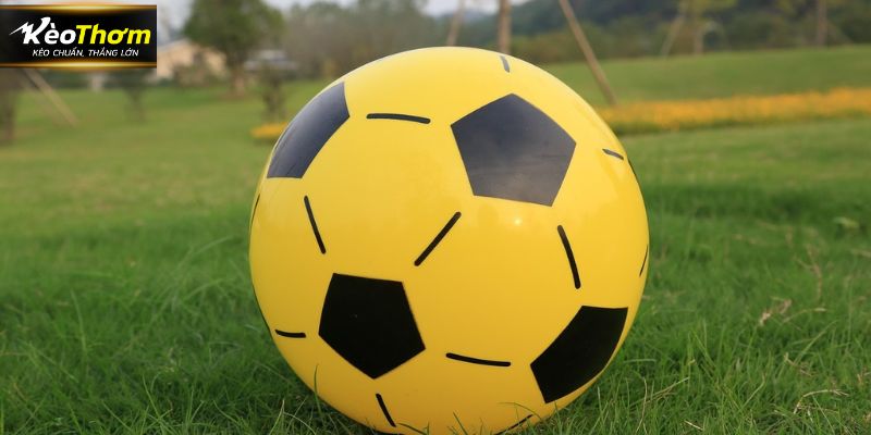 Các lợi ích chính cực khủng mà người dùng nhận được