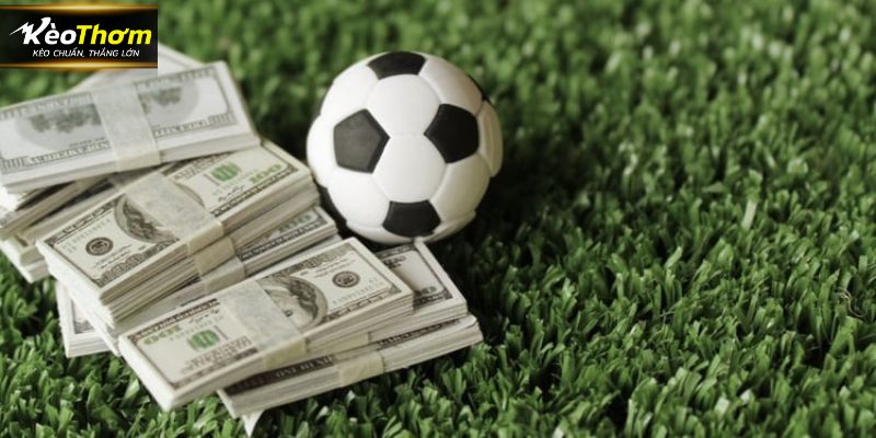 Chuyên mục mang tới cho người chơi nhiều nội dung bổ ích