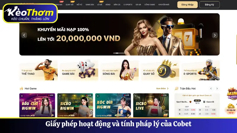 Giấy phép hoạt động và tính pháp lý của Cobet