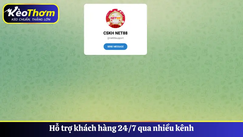 Hỗ trợ khách hàng 24/7 qua nhiều kênh