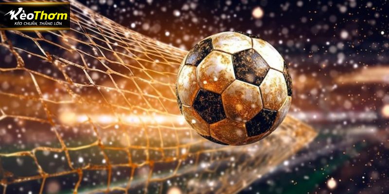 LTĐ các giải quốc tế