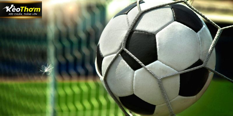 LTĐ các giải VĐQG