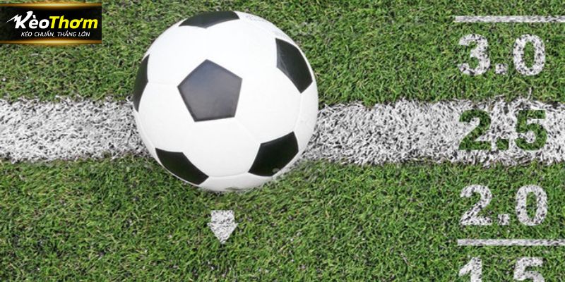 Những điểm mạnh của chuyên mục