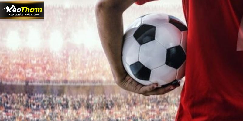 Quy trình tra cứu thứ hạng các đội đơn giản và nhanh chóng