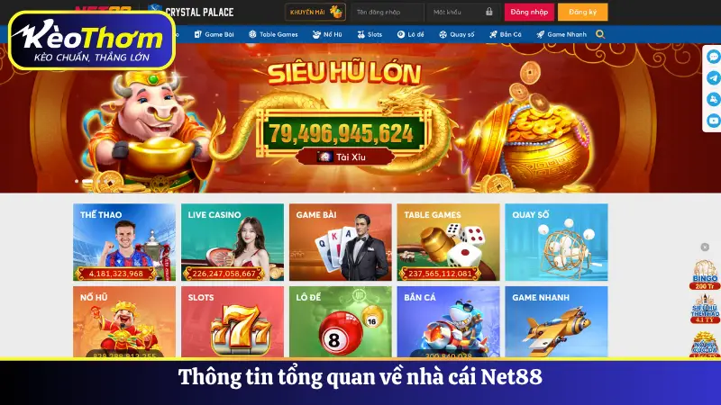 Thông tin tổng quan về nhà cái Net88