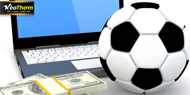 Trang có sự tiện lợi và phù hợp với khán giả Việt Nam