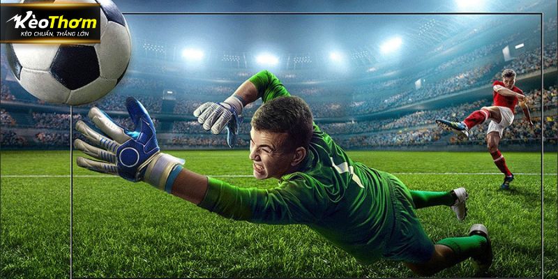 Trang web cập nhật tin kết quả bóng đá đa dạng và chi tiết