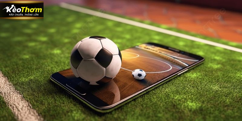 Vai trò của chuyên mục tại website