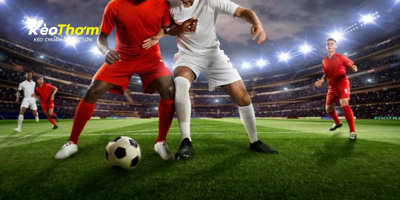 Hiệu suất sân nhà và sân khách