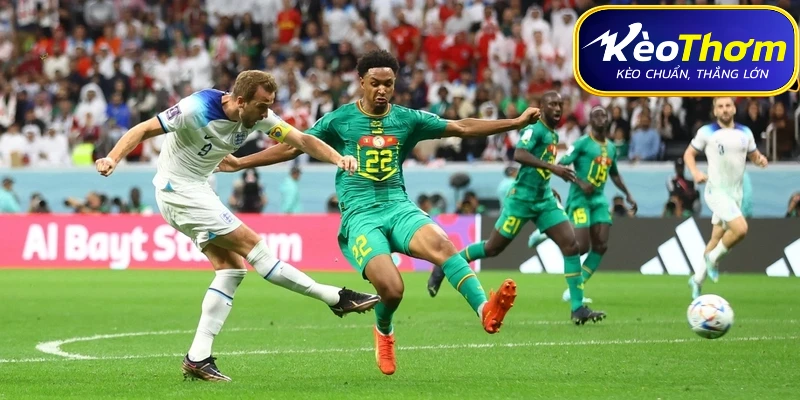Lịch sử đối đầu Pháp vs Sénégal qua các năm với các mốc thời gian cụ thể.