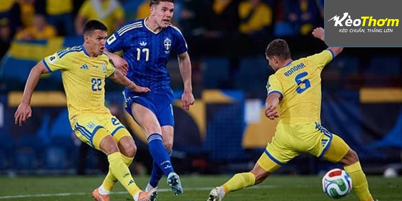 Phân tích tỷ lệ thắng và biến động odds trận Thụy Điển vs Tunisia World Cup 2026