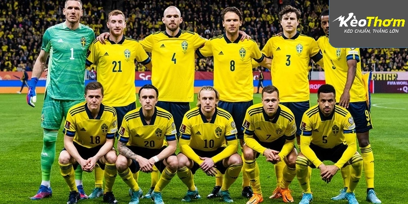 Đồ họa lịch sử đối đầu Thụy Điển vs Tunisia qua các năm với các mốc thời gian cụ thể