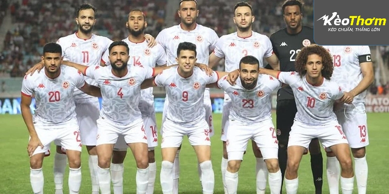 Dự kiến sơ đồ 4-2-3-1 của Thụy Điển đối đầu với 4-3-3 thực dụng của Tunisia