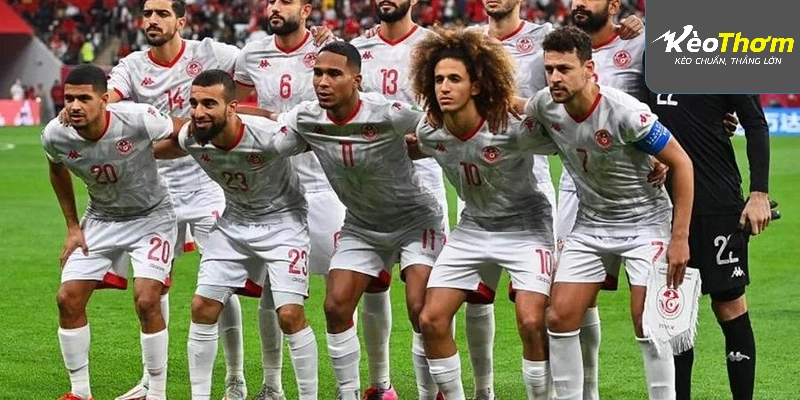 Tỷ lệ odds trận Thụy Điển vs Tunisia được cập nhật liên tục tại Kèo Thơm